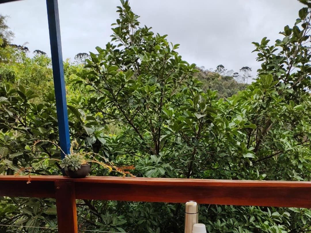 Chales Agua Azul サント・アントーニオ・ド・ピニャウ エクステリア 写真